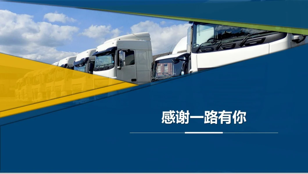 Experienced China to The United States Sea/Air DDP/DDU, Freight Forwarder Transport Price Reduction