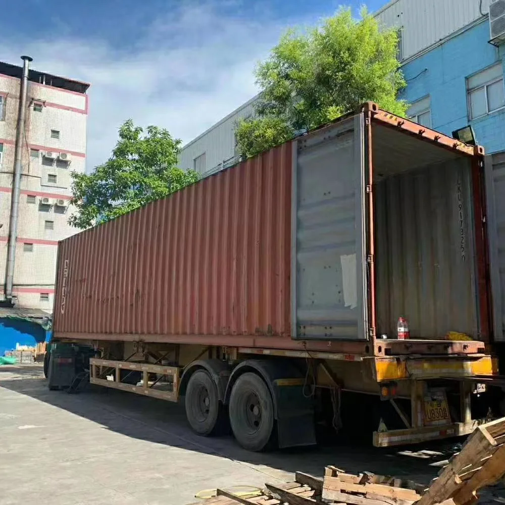 Sea Freight Rates Best Shipping Agent From Shenzhen to Europe with Door to Door Services