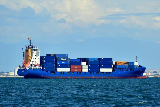 Servicio profesional de envío de carga marítima desde el agente de envío marítimo de China con servicio de cumplimiento de almacenamiento DDP LCL