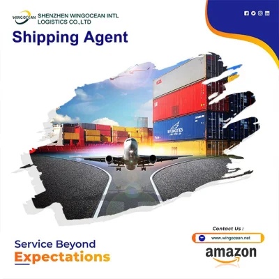 Envío Marítimo Agente de envío mundial en Shenzhen China Transportista puerta a puerta a Francia Canadá EE. UU.